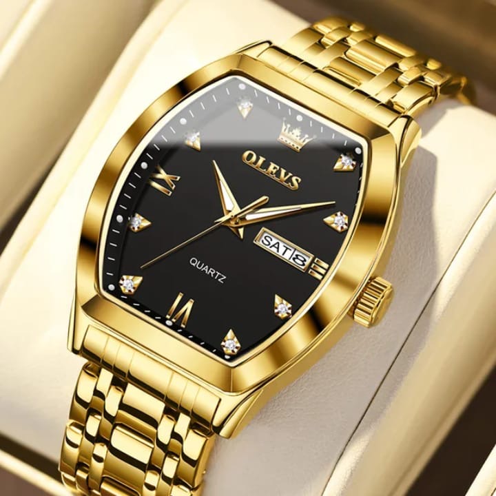 OLEVS image 3